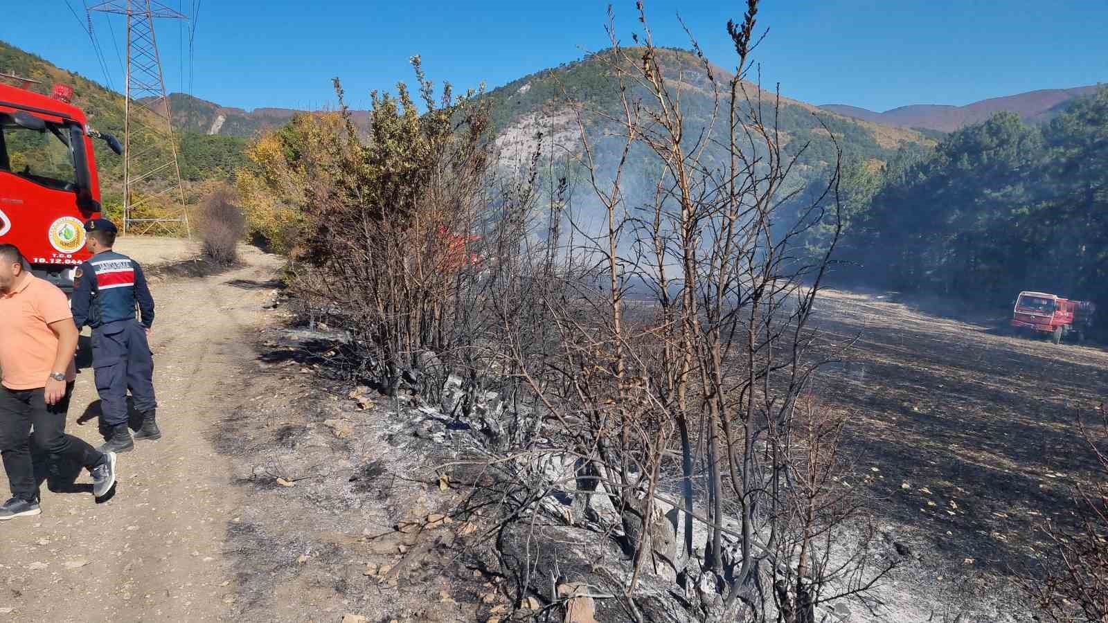 Kütahya’da anız yangını ormana sıçradı
