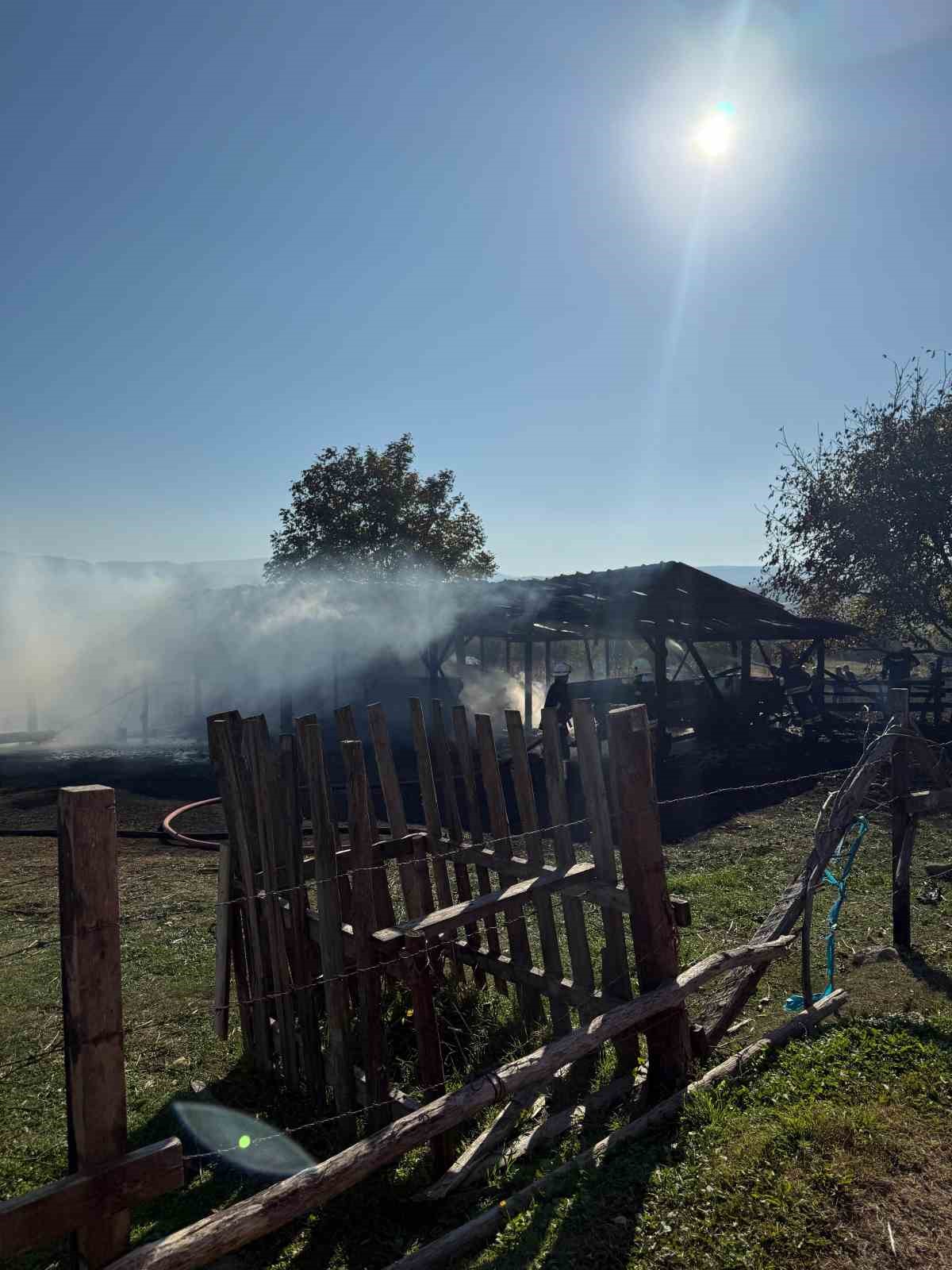 Anız yangınında tarım aletleri kül oldu
