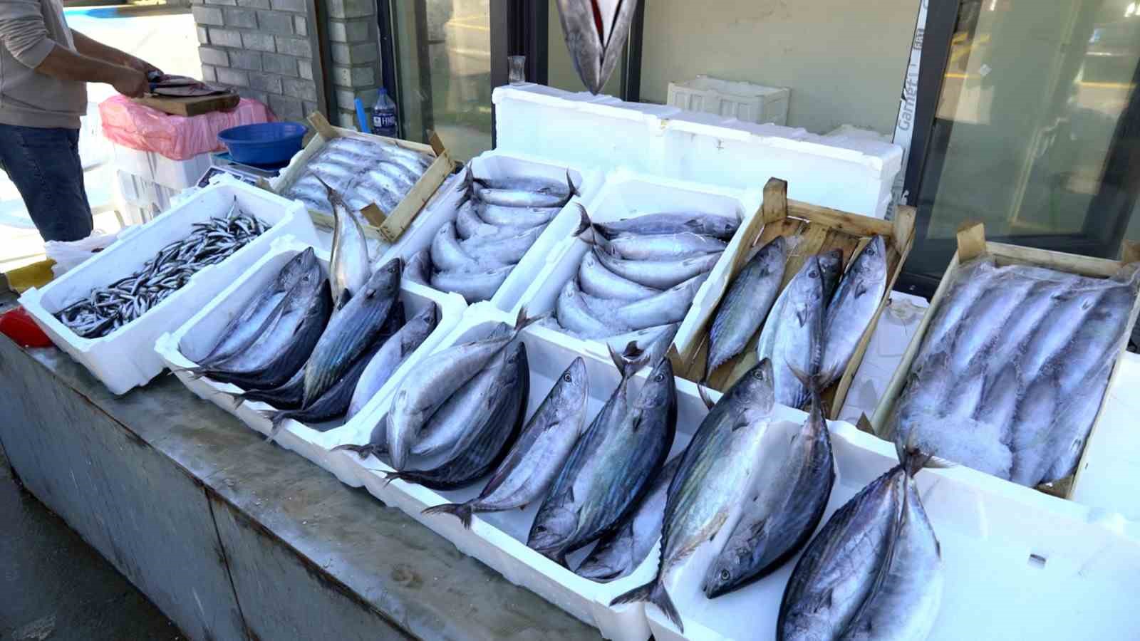 Karaburun Balık Hali hizmete açıldı
