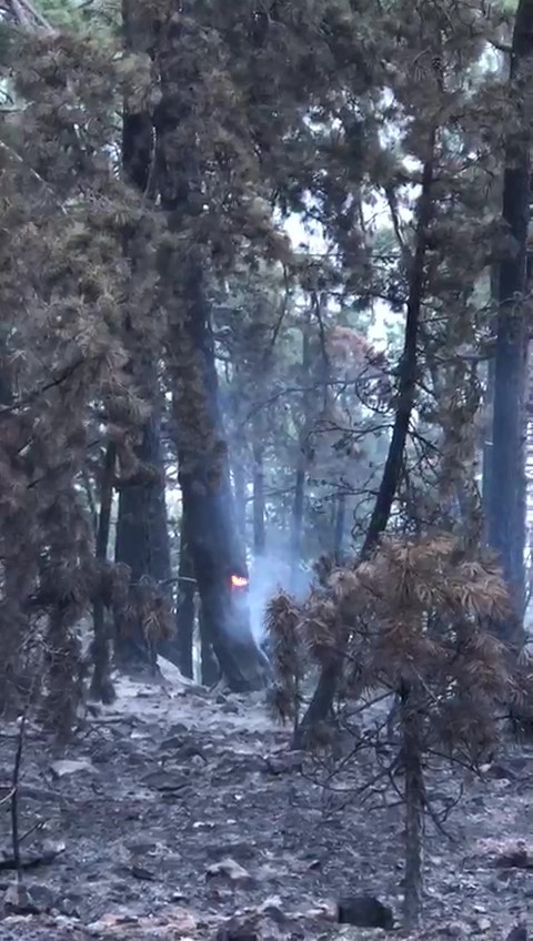 Denizli’deki orman yangını söndürüldü
