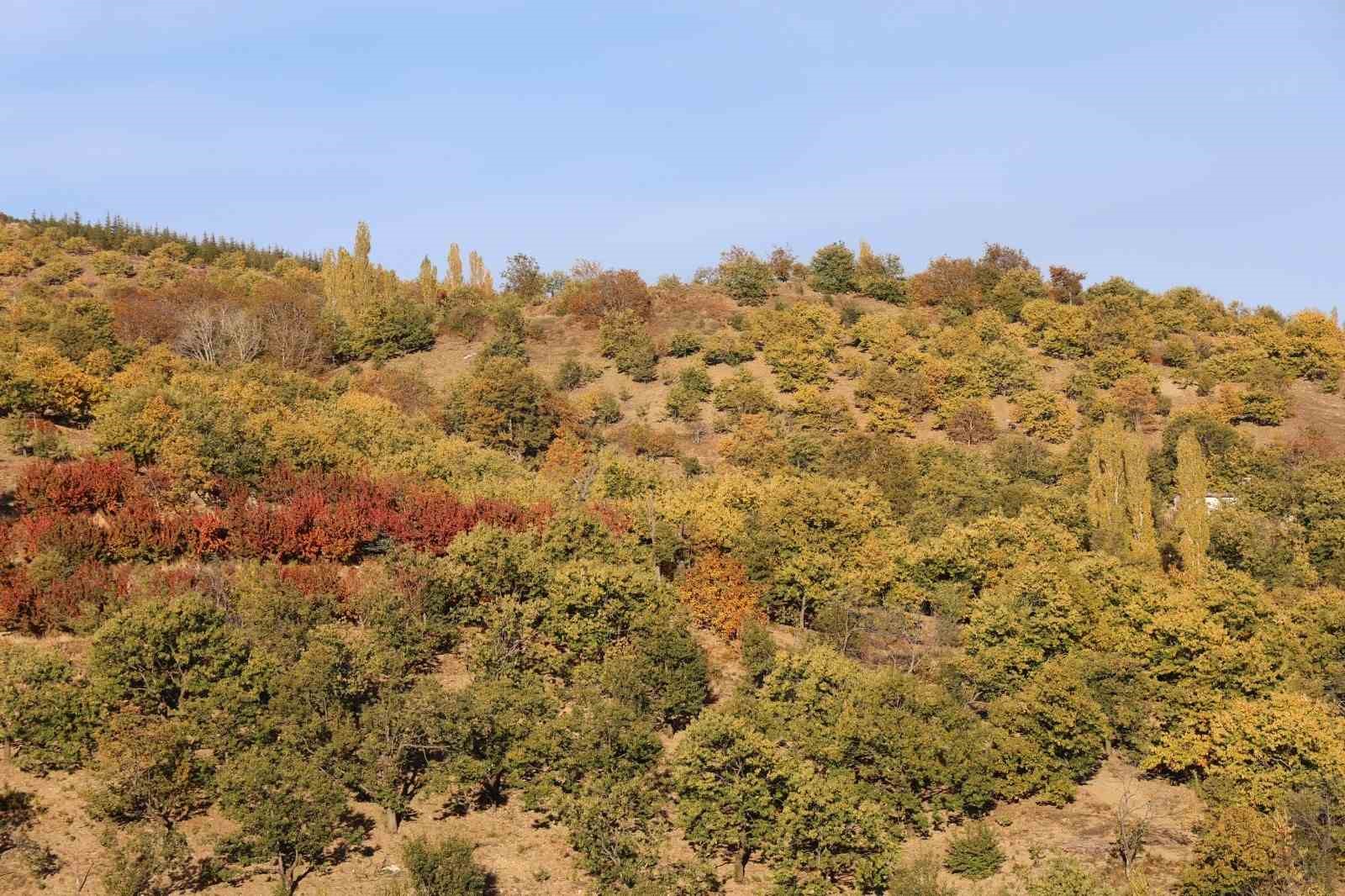 Aydın dağlarındaki sonbahar manzaraları mest ediyor
