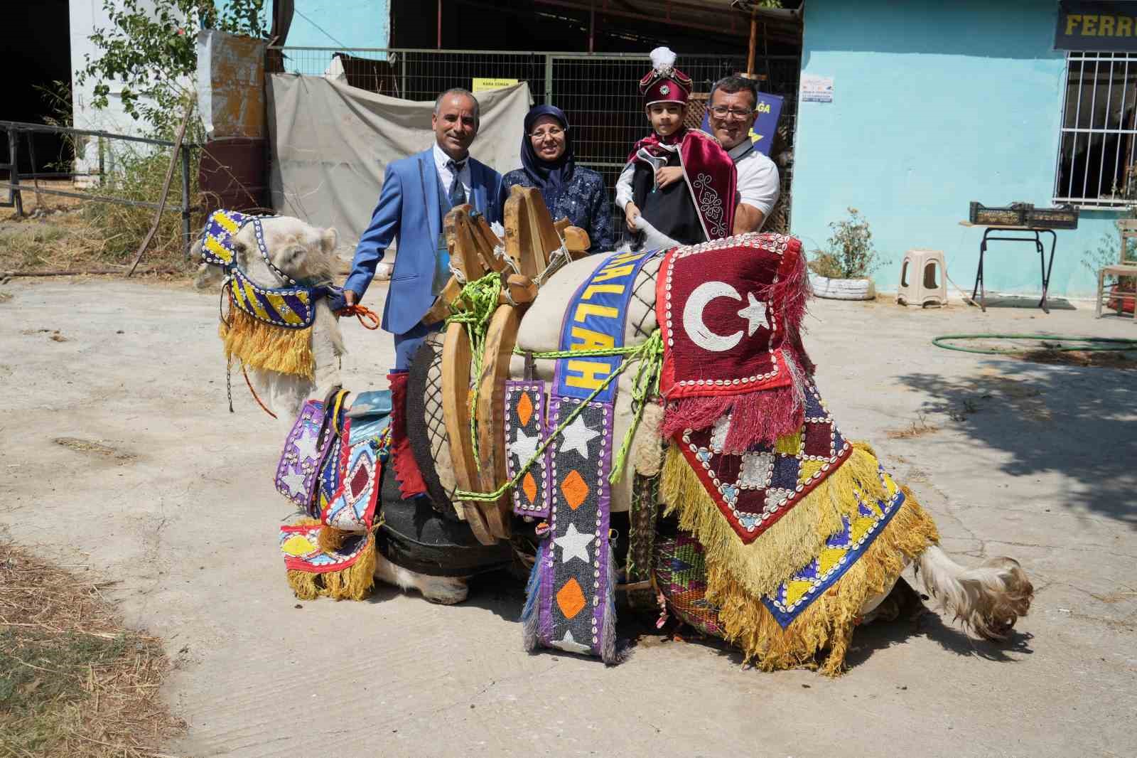 Milyonluk lüks araba ile değil milyonluk güreş devesi ile sünnet konvoyu
