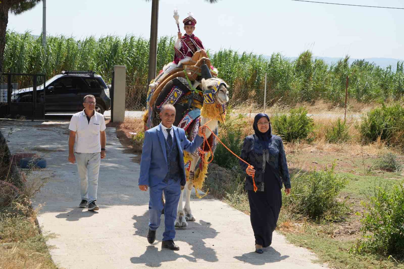 Milyonluk lüks araba ile değil milyonluk güreş devesi ile sünnet konvoyu
