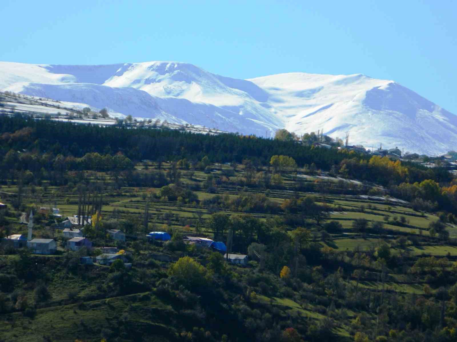 Posof’ta yeşil ile beyazın buluşması görsel şölen oluşturuyor
