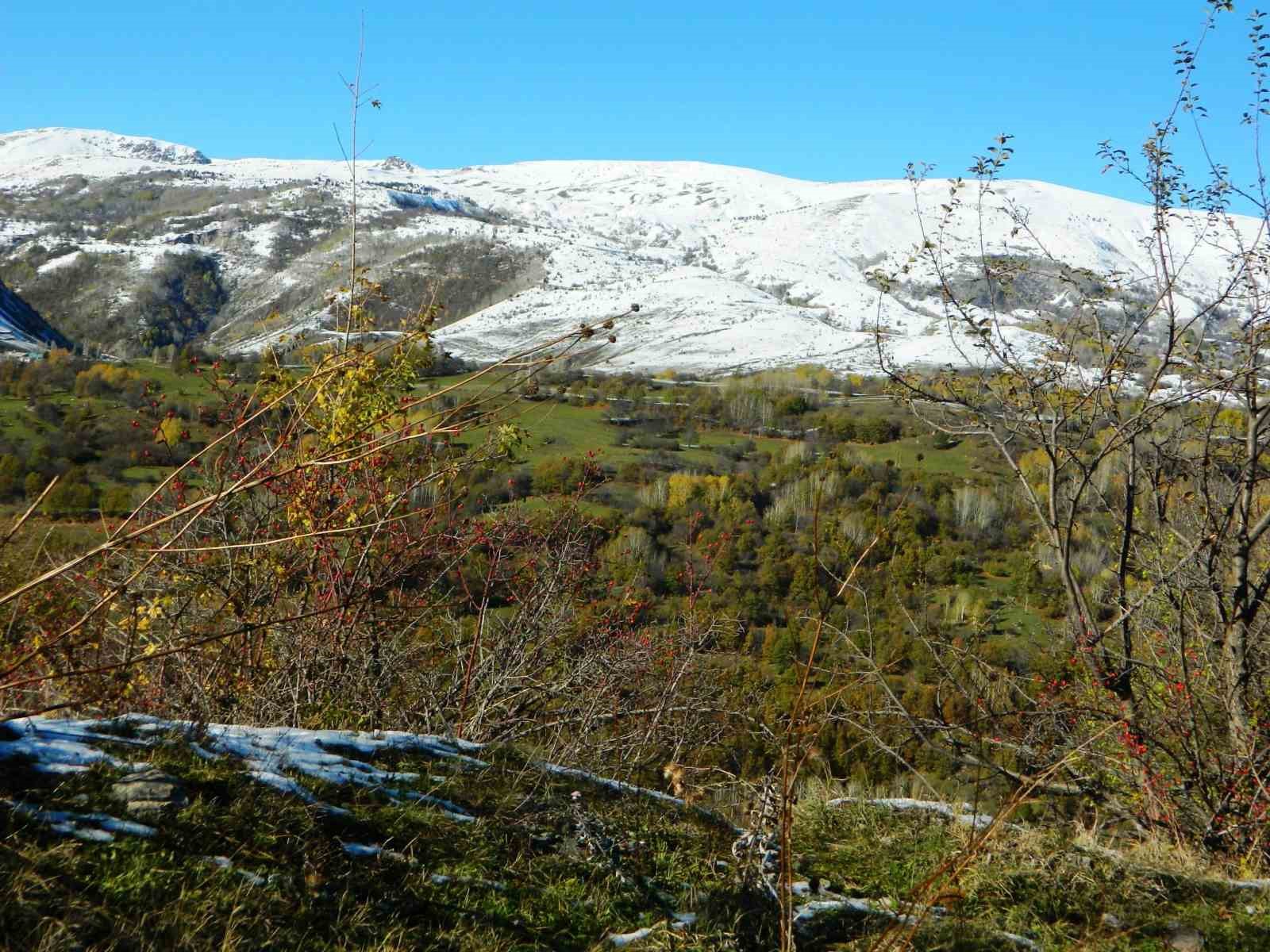 Posof’ta yeşil ile beyazın buluşması görsel şölen oluşturuyor
