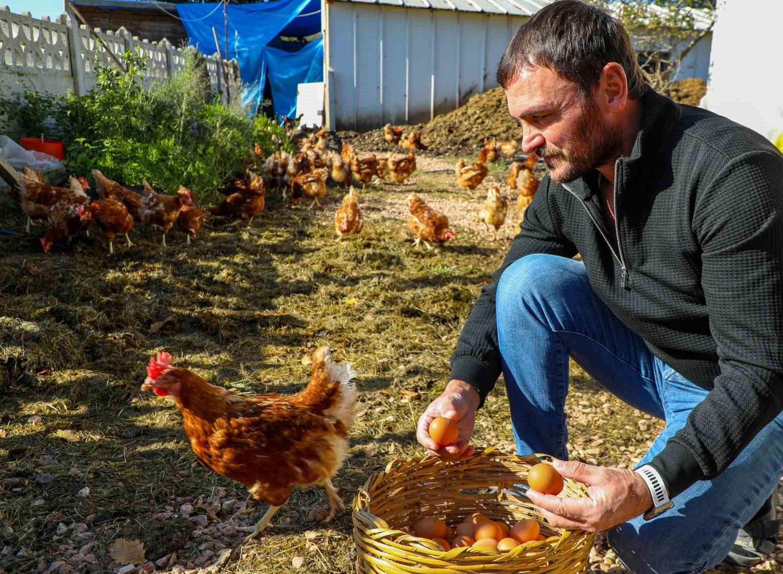 Ordu’da yumurta sektörü ayağa kalktı
