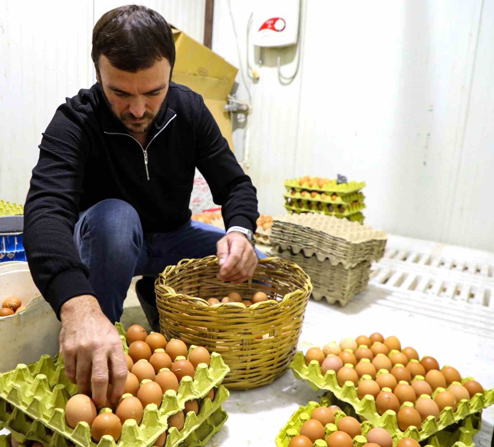 Ordu’da yumurta sektörü ayağa kalktı
