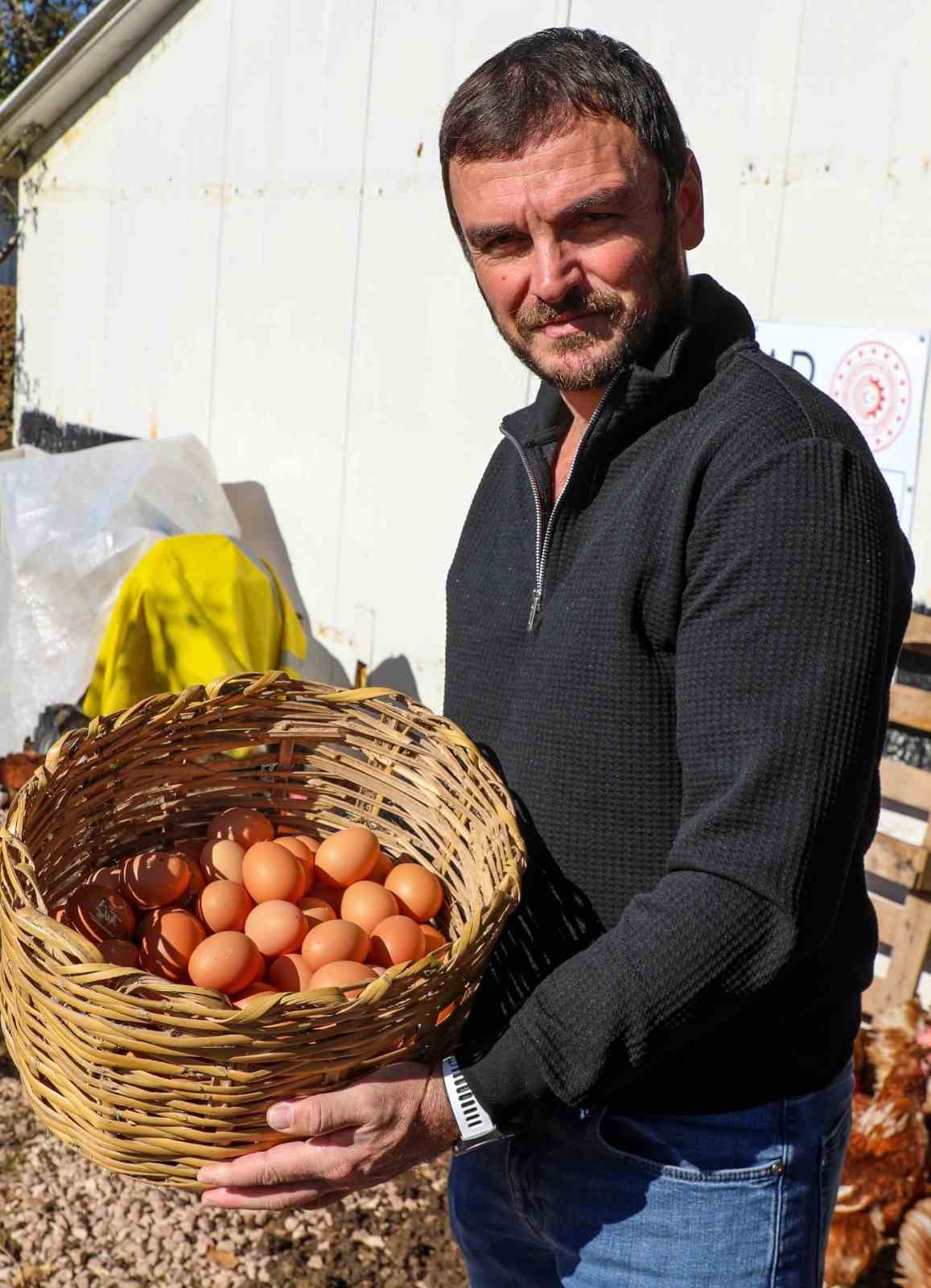 Ordu’da yumurta sektörü ayağa kalktı
