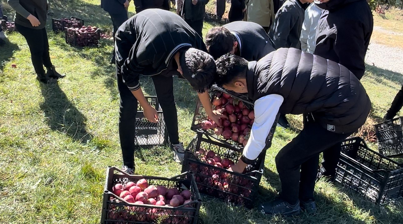 Tarım öğrencileri elma hasadı gerçekleştirdi
