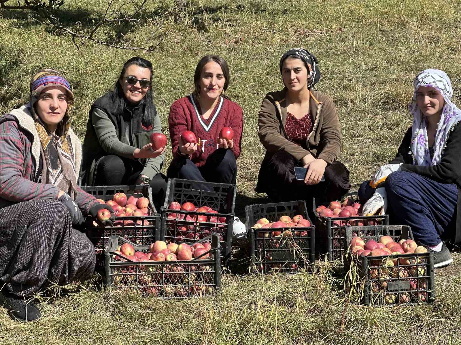 Tarım öğrencileri elma hasadı gerçekleştirdi
