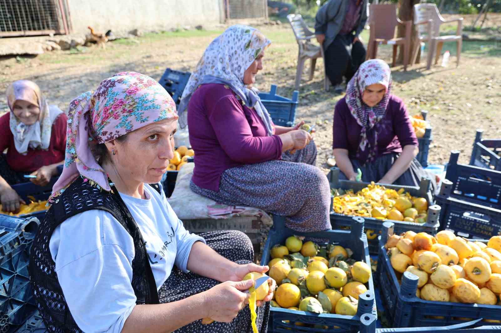 Yaş hurma 20, kurusu 200 lira
