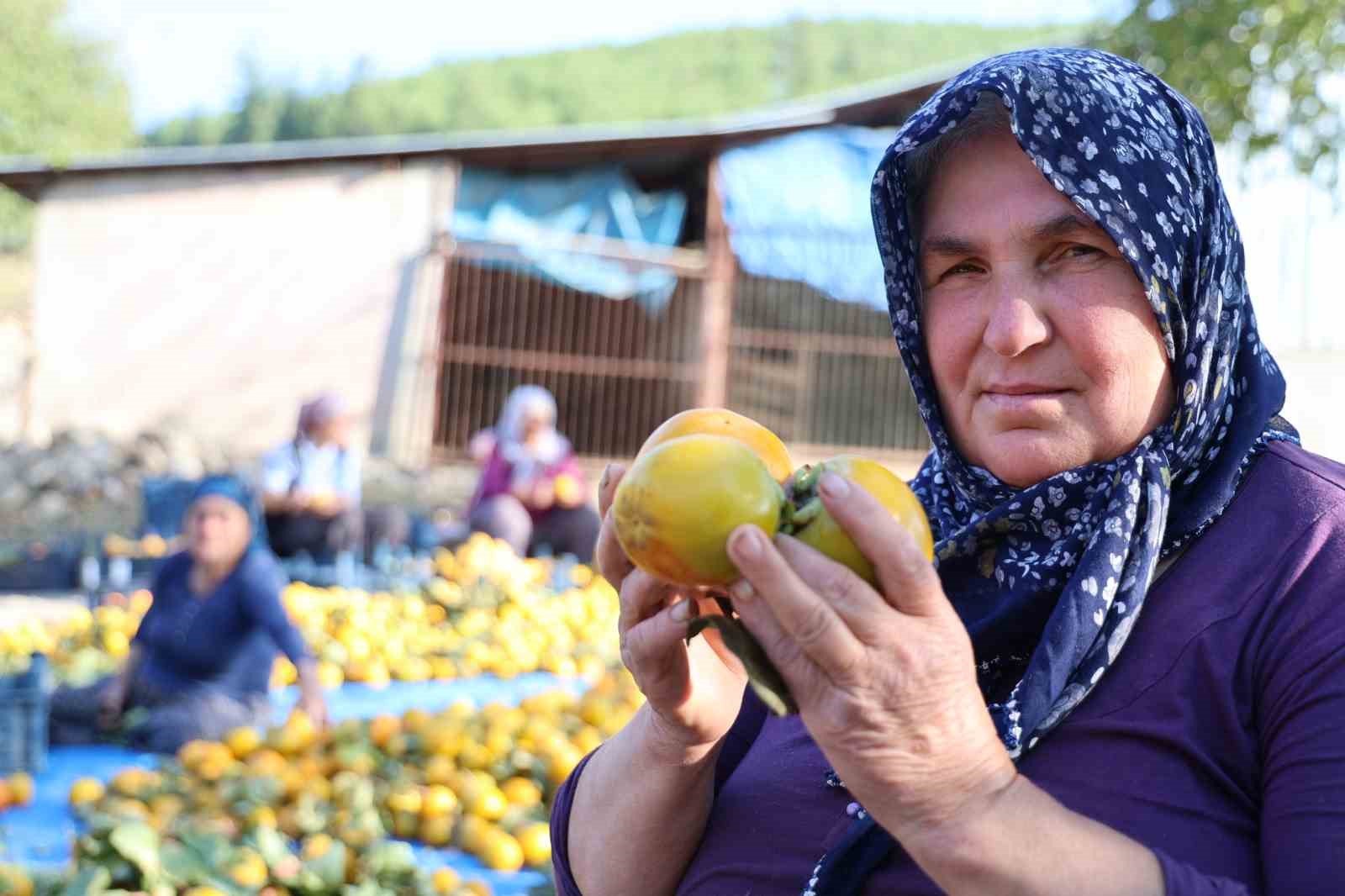 Yaş hurma 20, kurusu 200 lira
