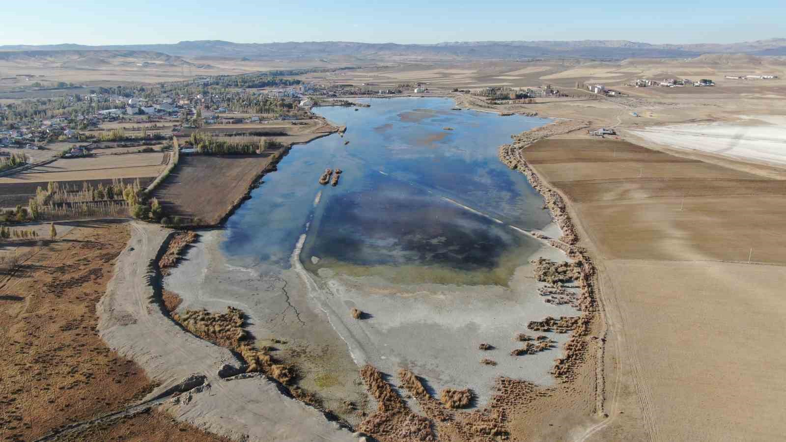 Ulaş Gölü’nde flamingo sürprizi, kuraklıkla boğuşan göl renklendi
