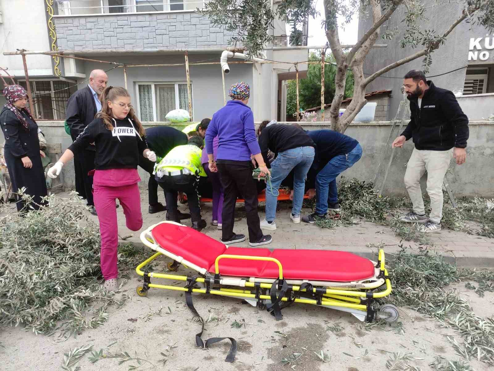 Bursa’da zeytin budarken ağaçtan düşen adam yaralandı
