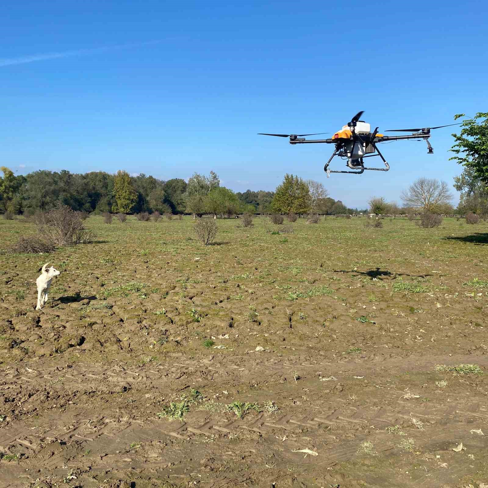 Selde hasar gören mera dron ile tohumlandı
