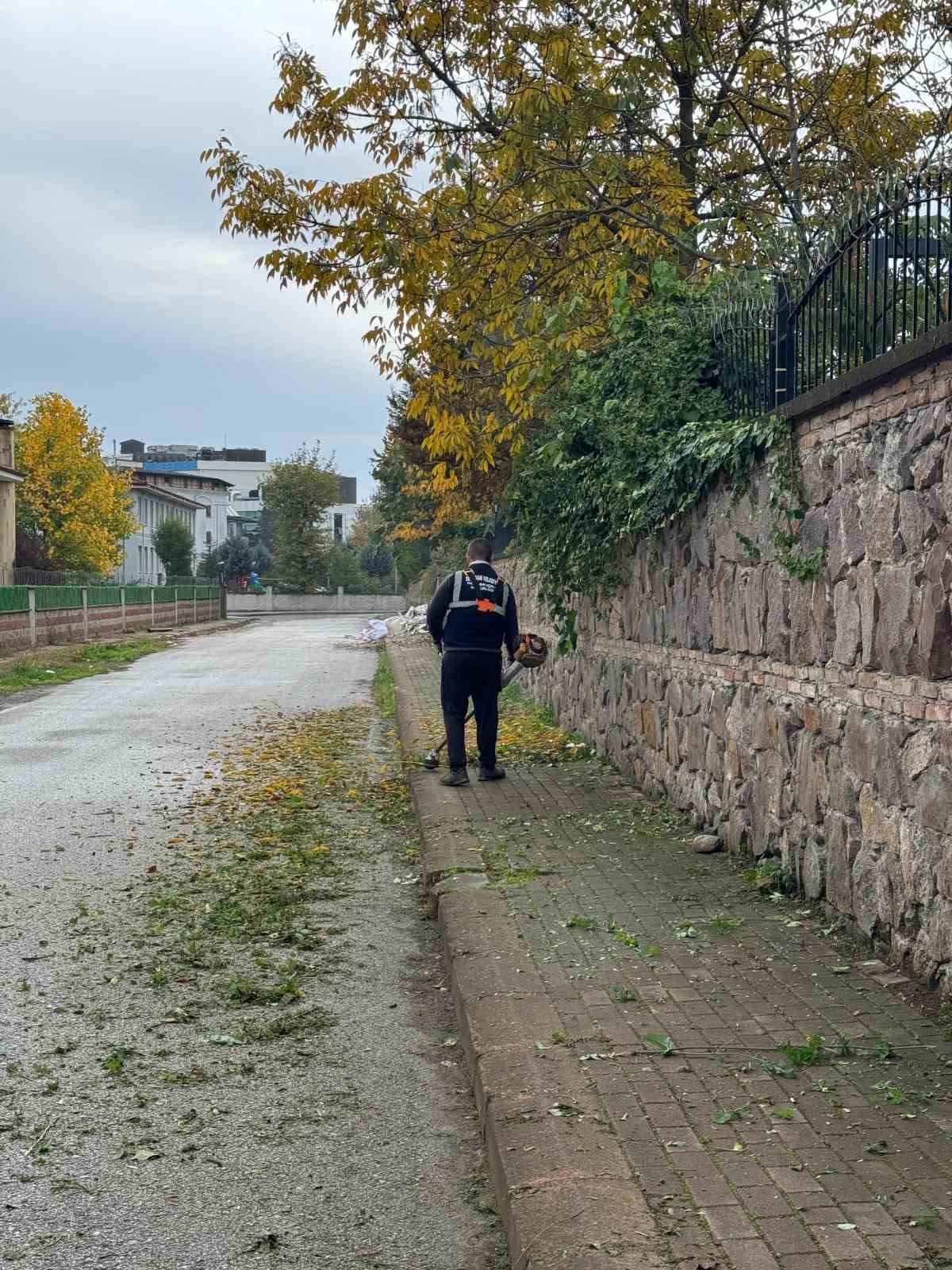 Serdivan’da temizlik seferberliği devam ediyor
