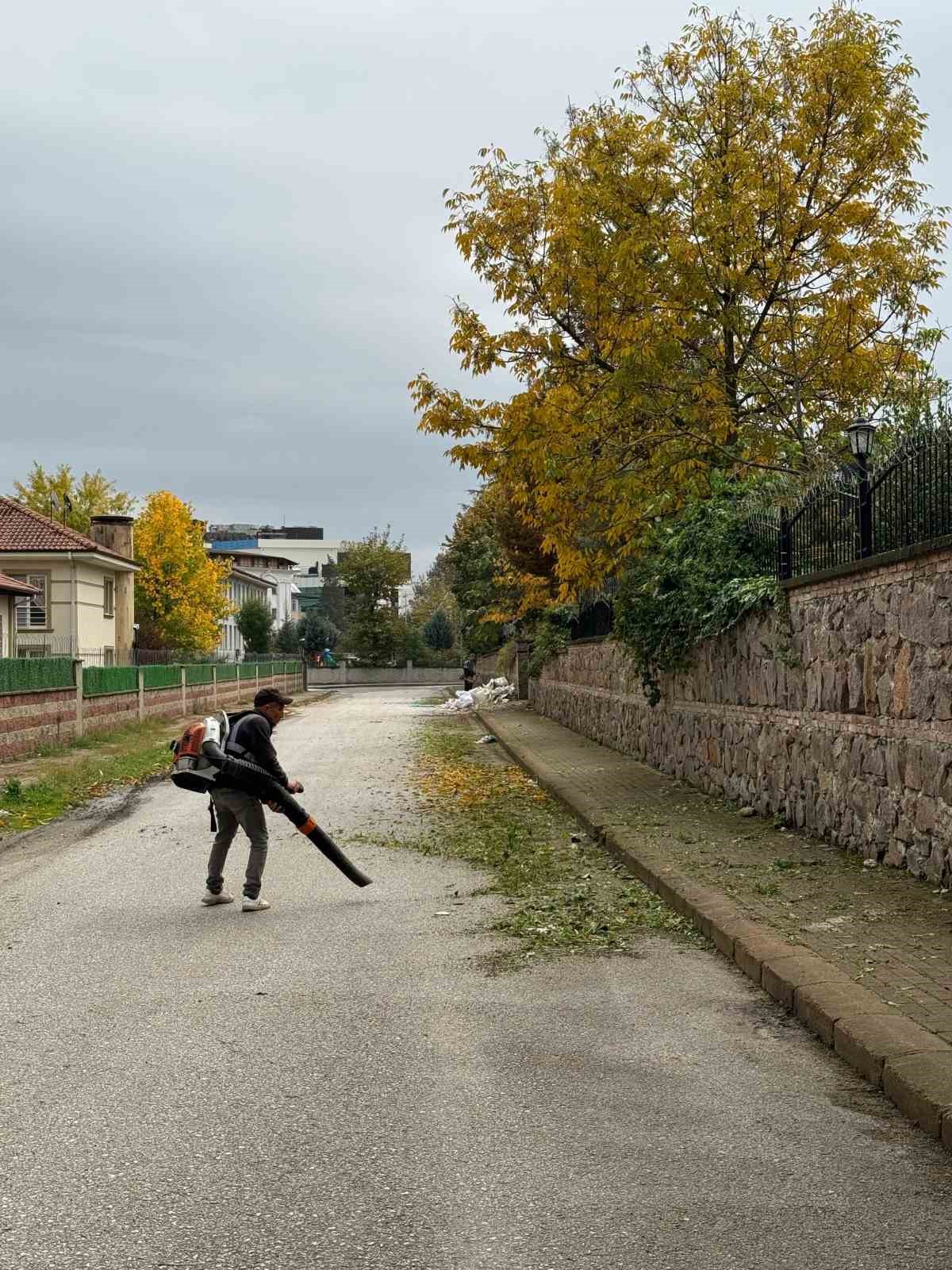 Serdivan’da temizlik seferberliği devam ediyor
