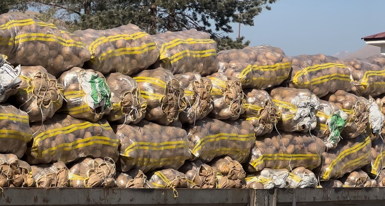 Yüksekova’da patates satışları başladı
