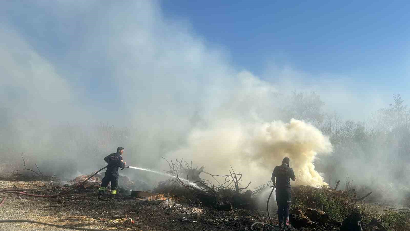 Yol kenarındaki otlar tutuştu, dumanlar yolu kapladı
