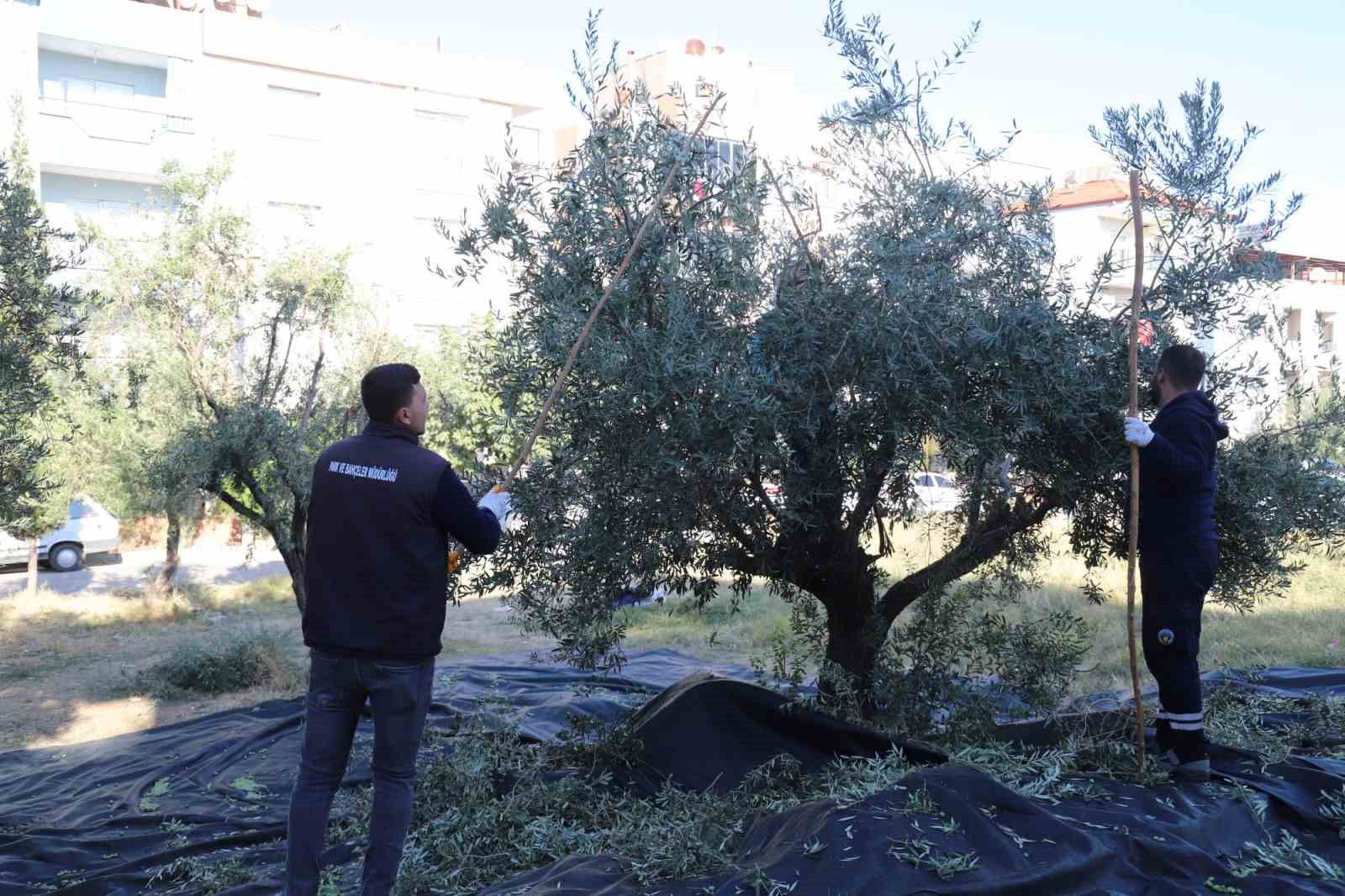 Turgutlu Belediyesi örnek uygulamasına devam ediyor
