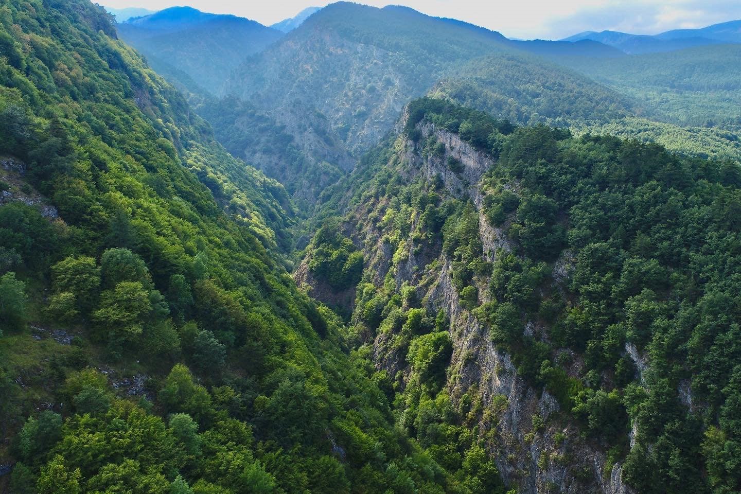 İnegöl belediyesi, geri dönüşümle 128 bin ağacın kesilmesini önledi
