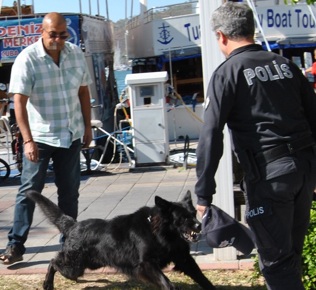 Kurt köpeğinin polislere saldırı anının görüntüleri ortaya çıktı
