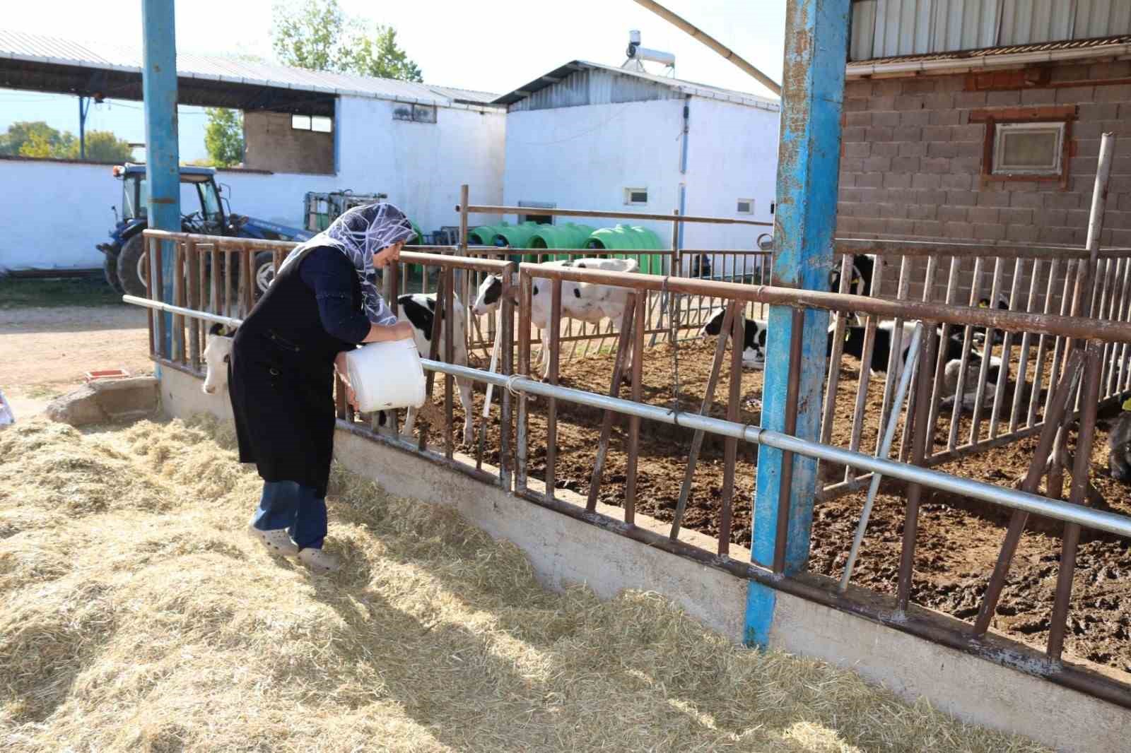 Simav’da hastalıktan ari işletmeye KKYDP’den 1,5 milyon TL hibe desteği
