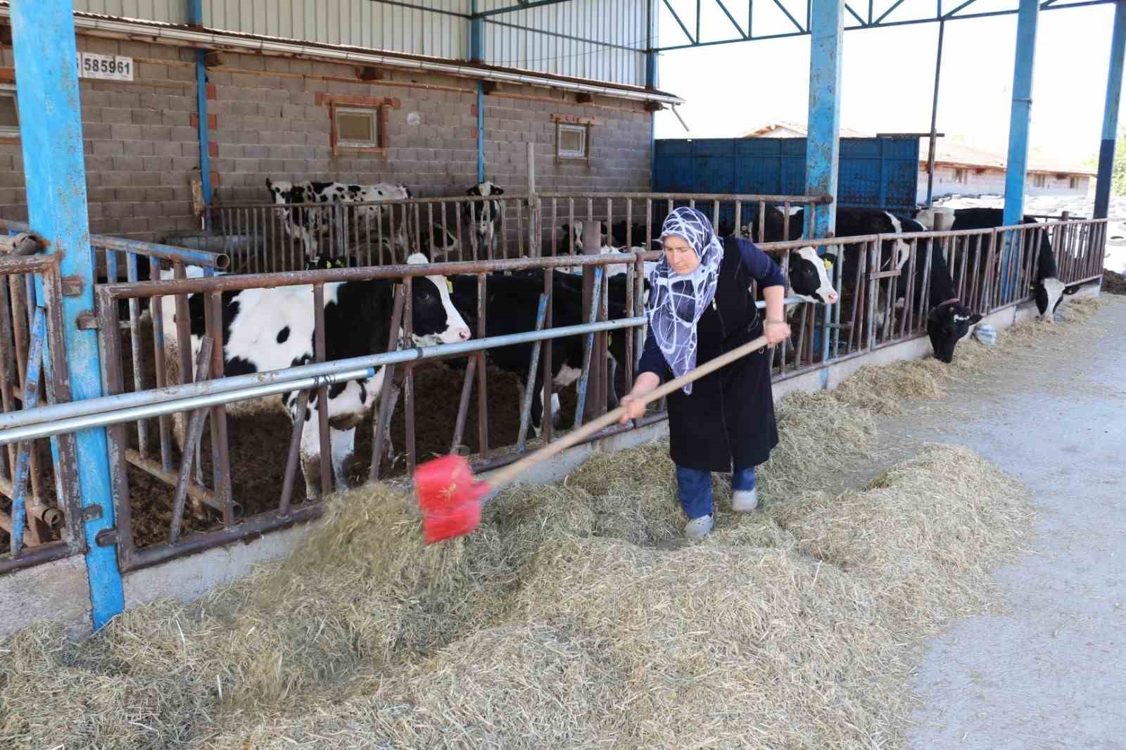 Simav’da hastalıktan ari işletmeye KKYDP’den 1,5 milyon TL hibe desteği
