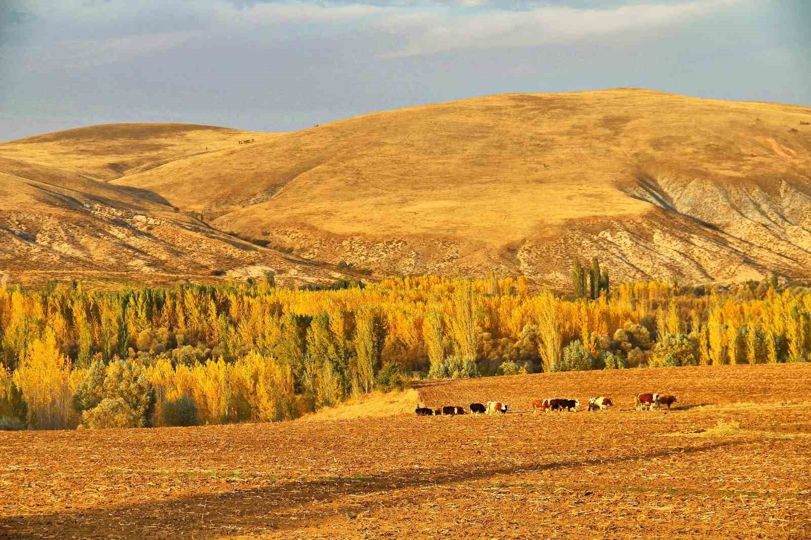 Kahramanmaraş’ta sonbahar güzelliği
