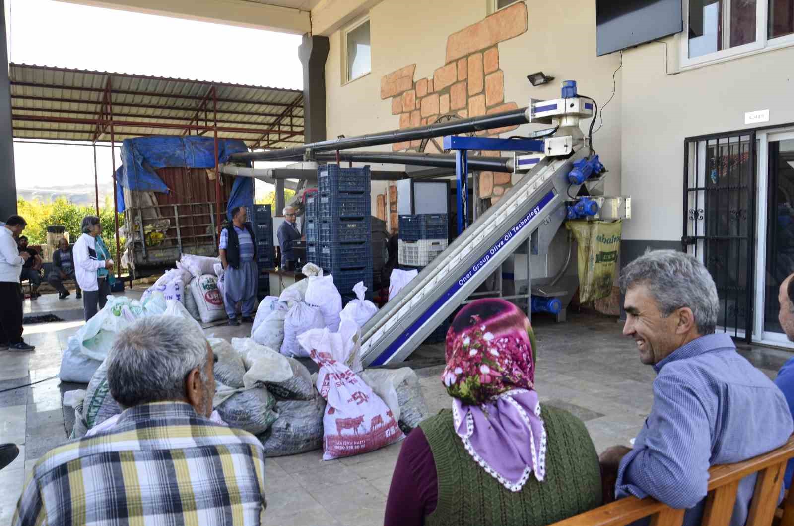 Mersin’de üreticilerin zeytinyağı telaşı
