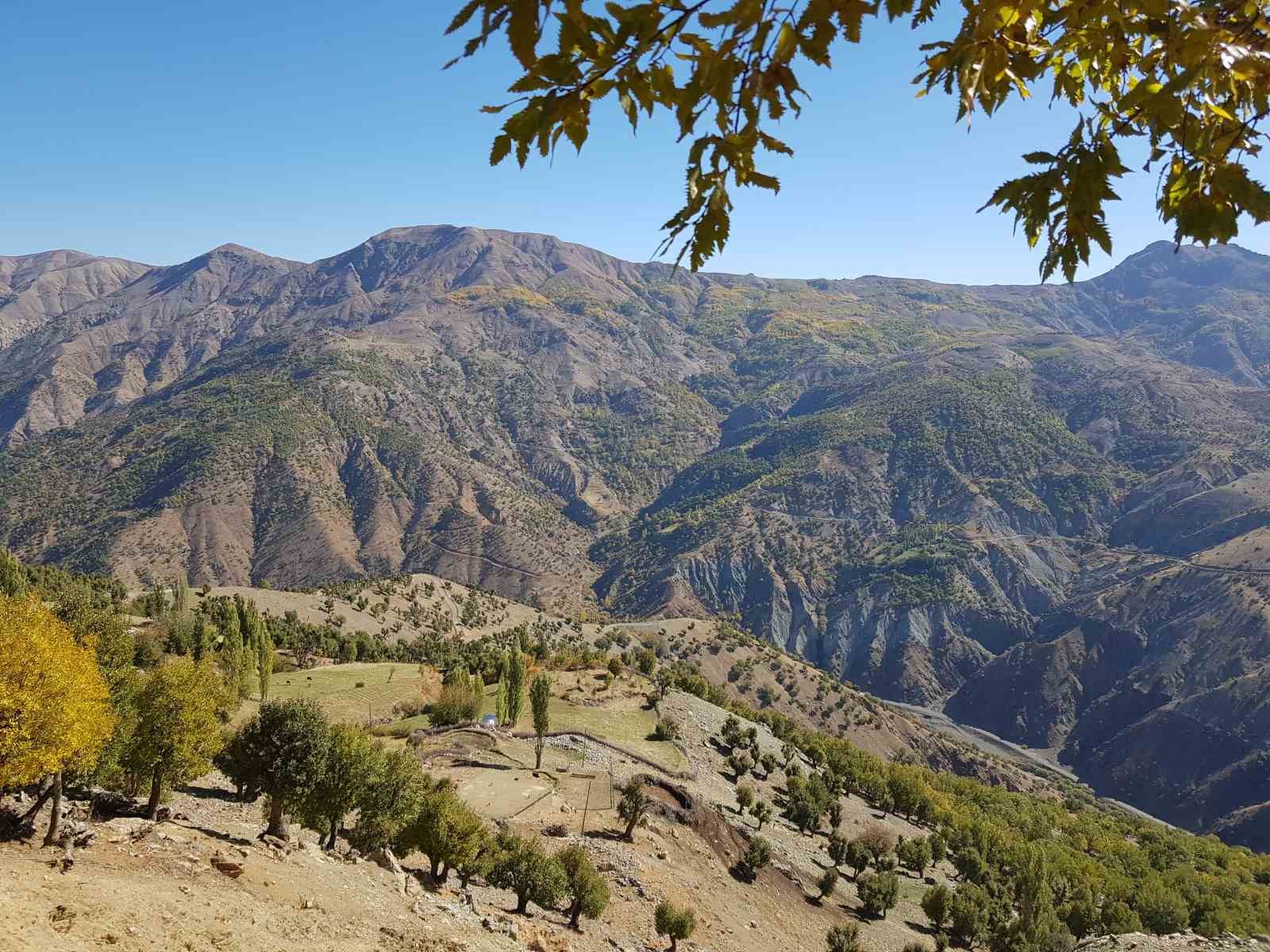 Kulp ilçesinde sonbahar güzelliği
