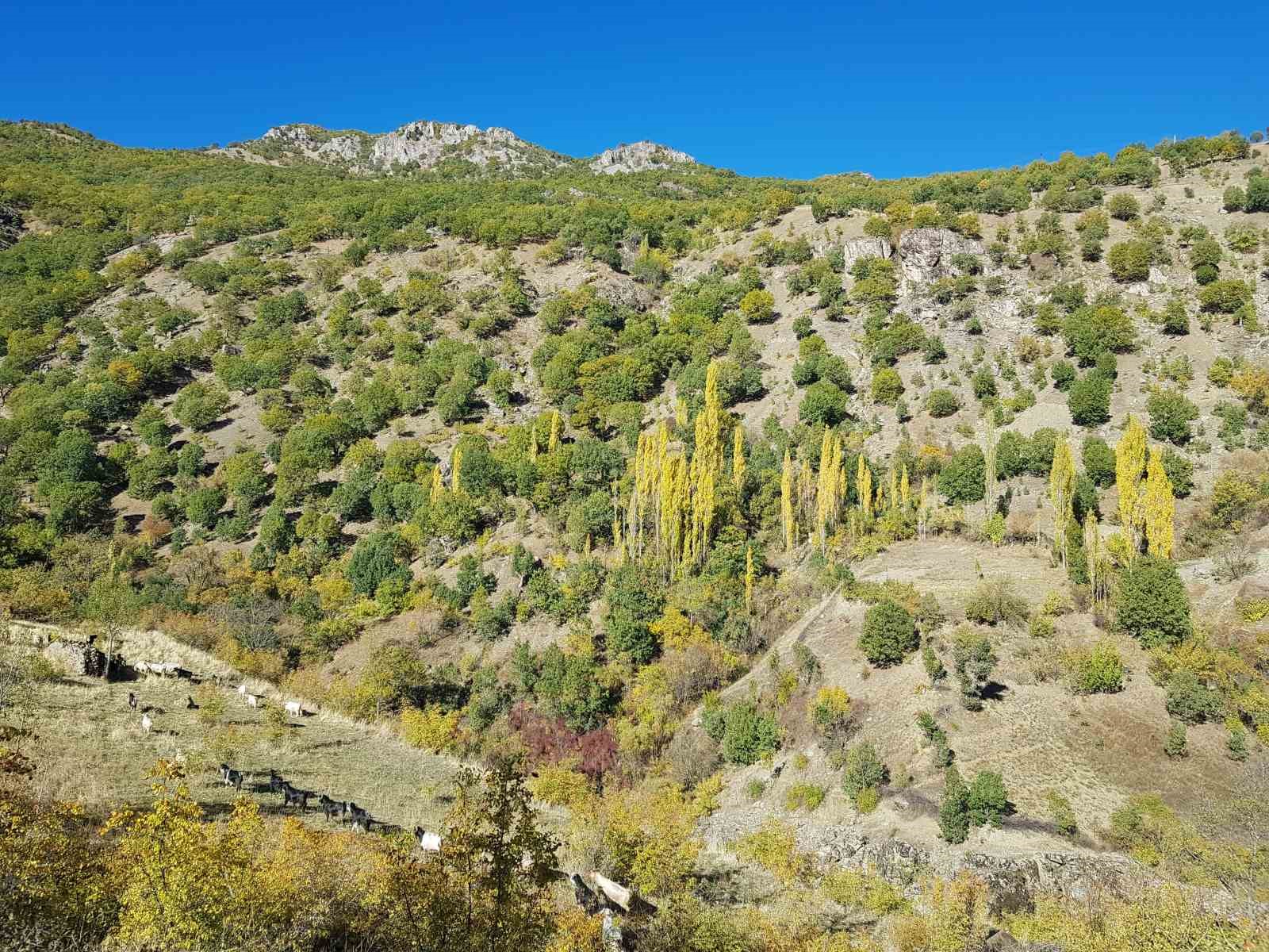 Kulp ilçesinde sonbahar güzelliği
