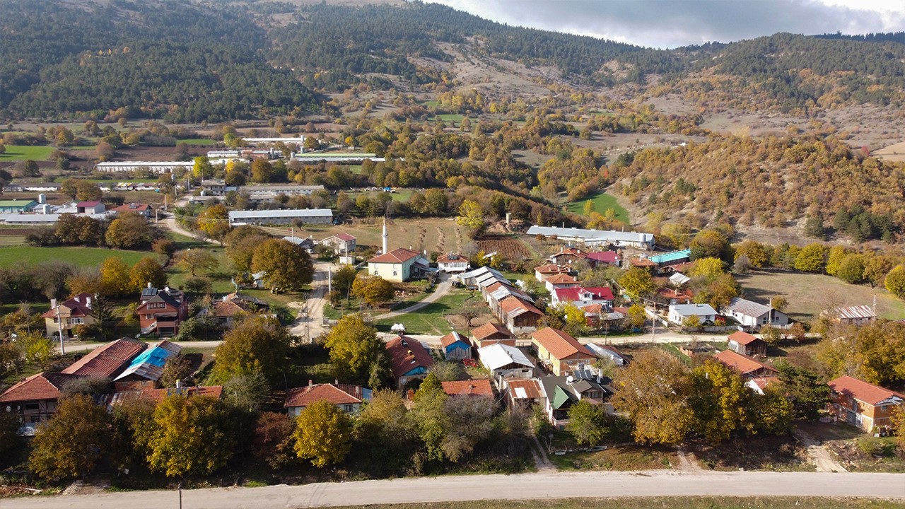 Bolu’nun yükseklerinde renk cümbüşü
