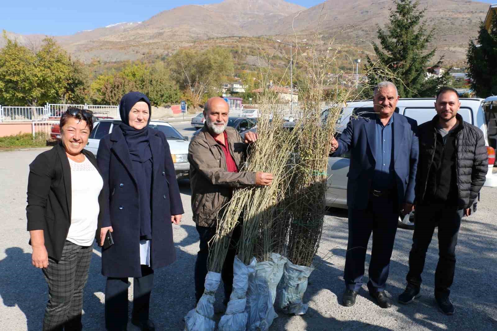 Erzincan’da goji berry yetiştiriciliği başladı
