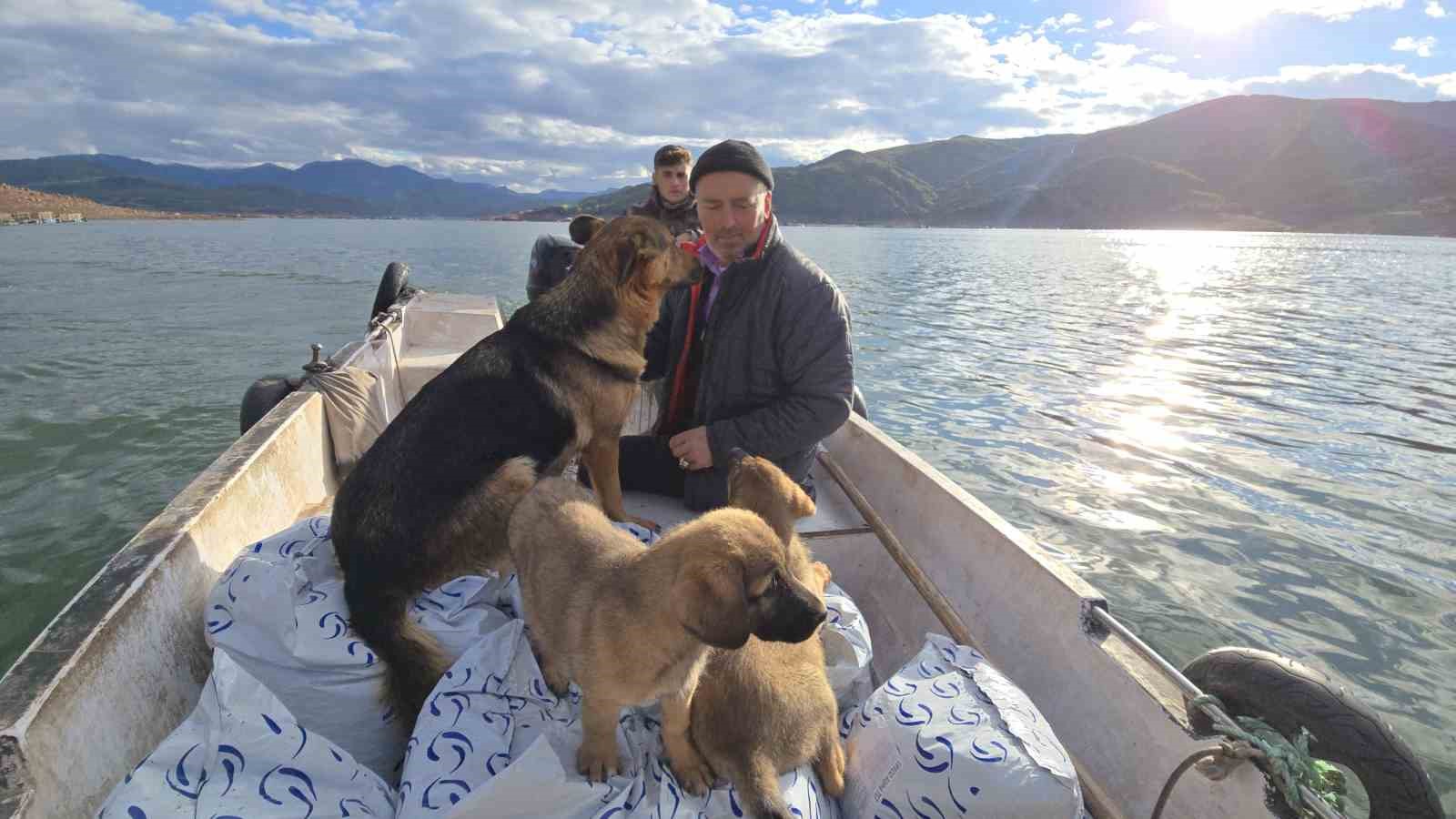 Balıkçı ile köpeklerin sıra dışı arkadaşlığı
