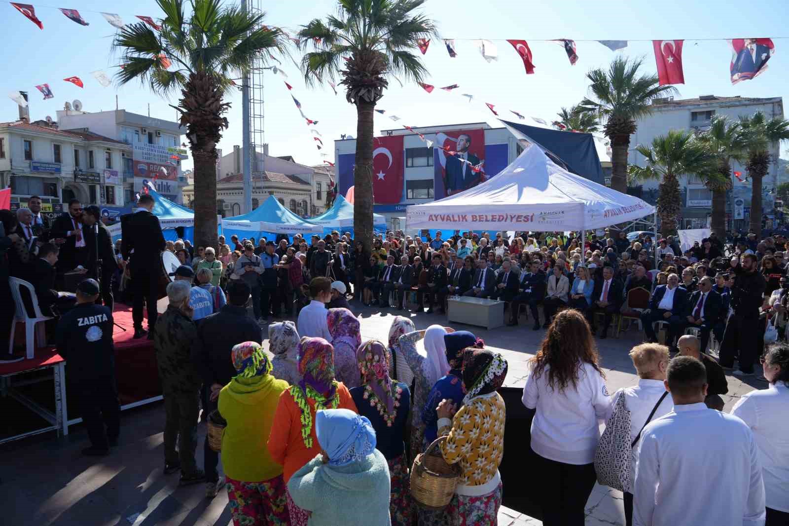 “19. Ayvalık Uluslararası Zeytin Hasat Festivali” başladı
