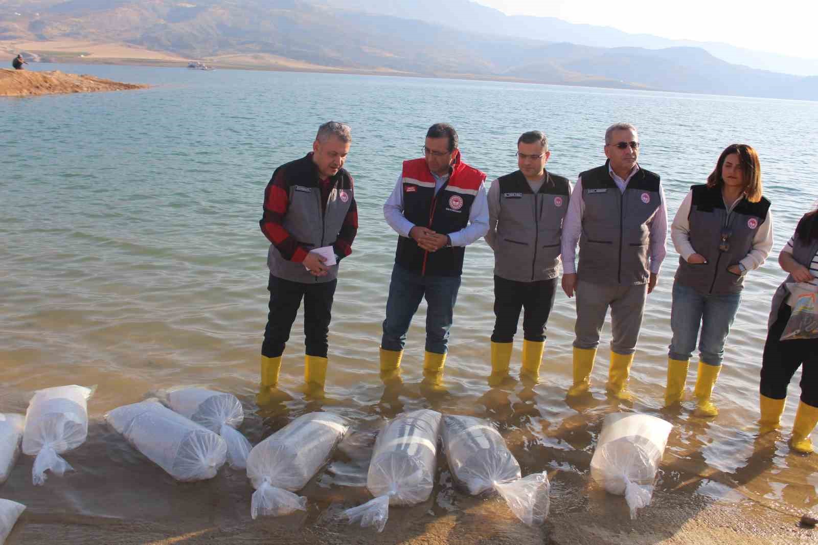 Siirt’te 2 milyon balık yavrusu baraj göllerine bırakıldı
