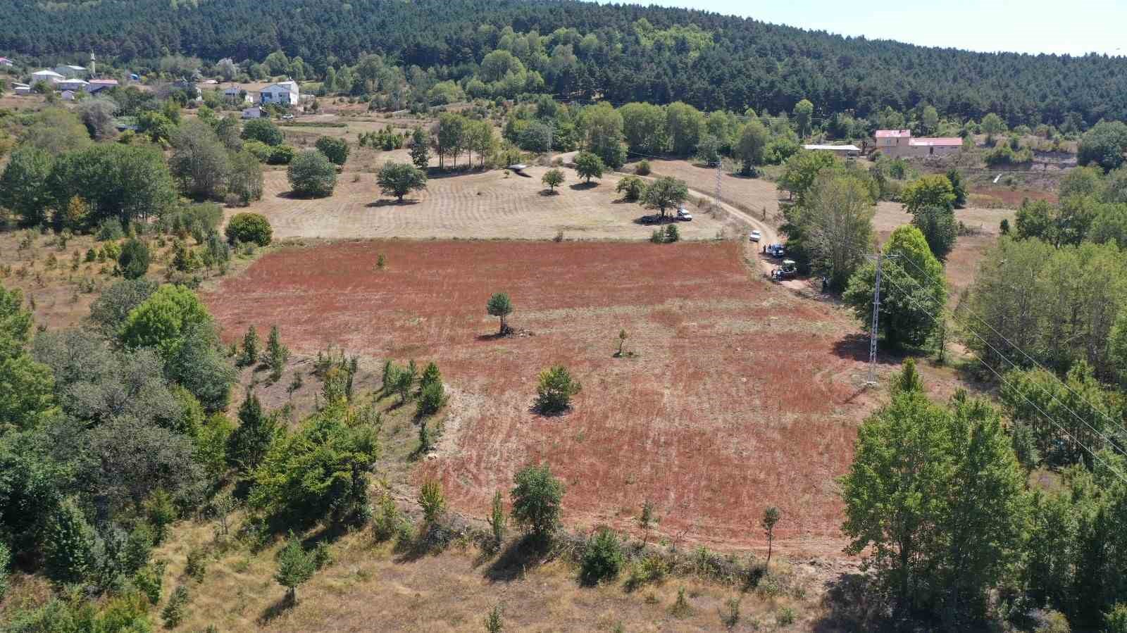 Ordu’da boş arazilerden bugün bereket fışkırıyor
