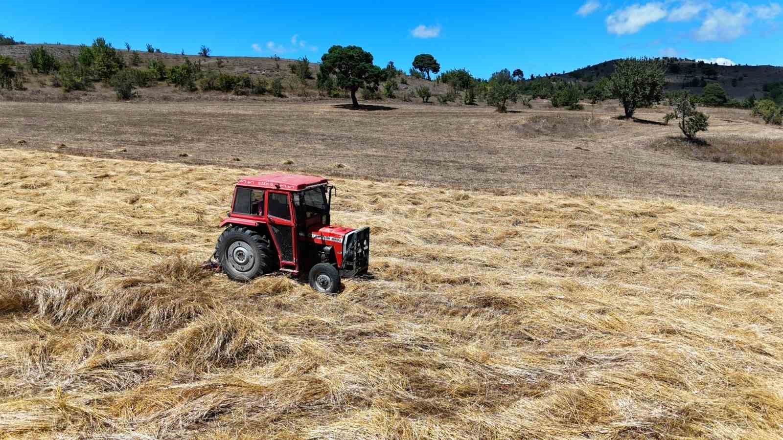 Ordu’da boş arazilerden bugün bereket fışkırıyor
