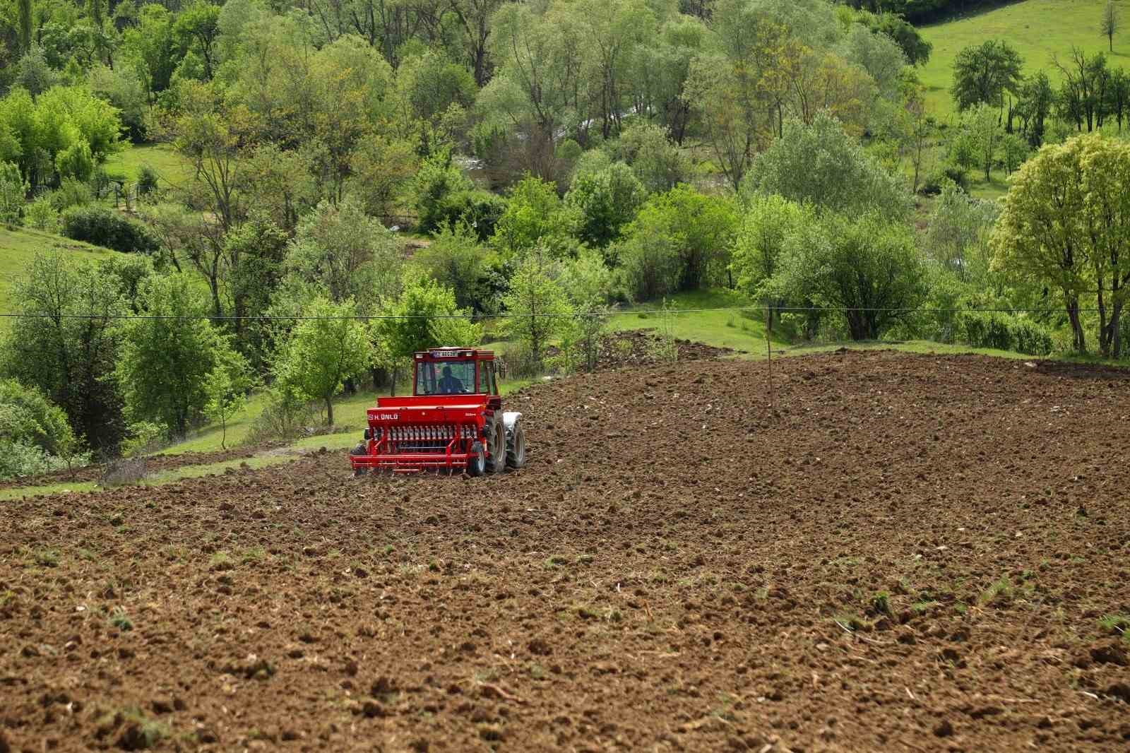 Ordu’da boş arazilerden bugün bereket fışkırıyor
