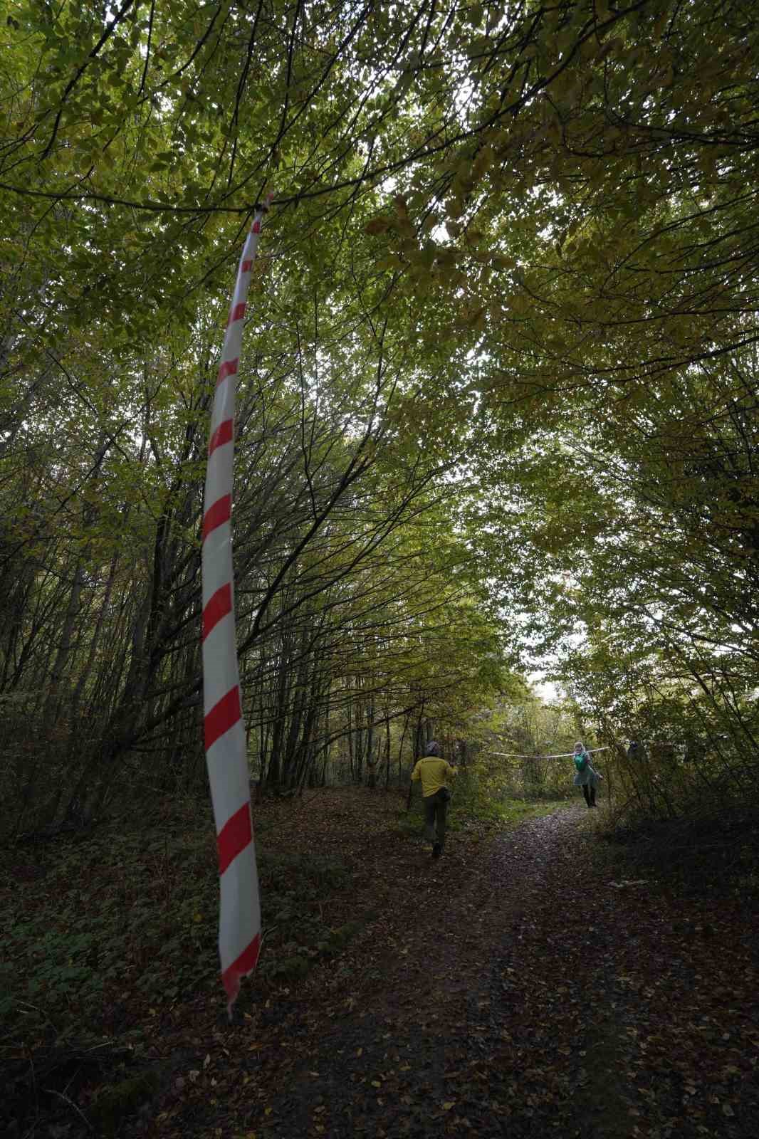 Yenice ormanlarında tepki çeken çevre kirliliği
