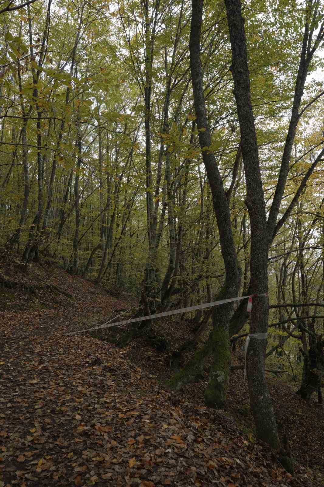 Yenice ormanlarında tepki çeken çevre kirliliği
