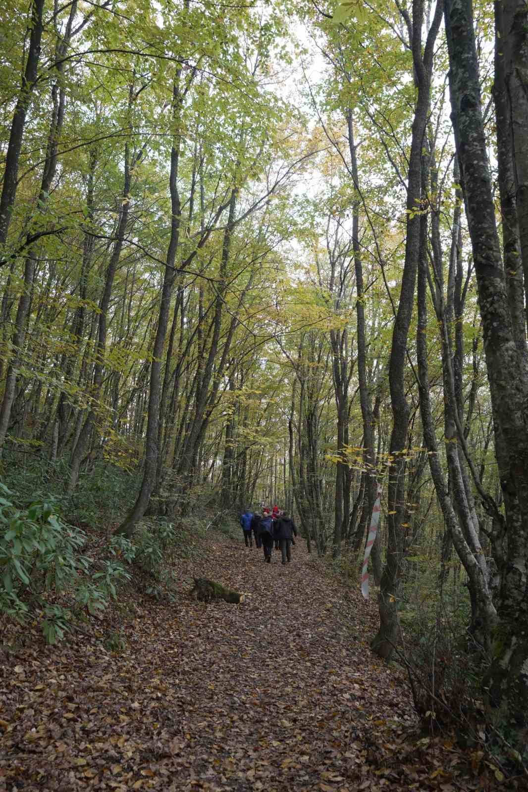 Yenice ormanlarında tepki çeken çevre kirliliği
