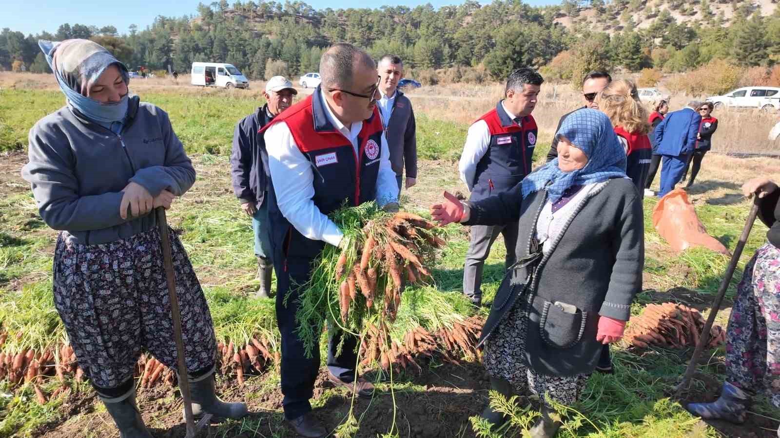 Lezzetiyle meşhur Çakır havucunda hasat başladı
