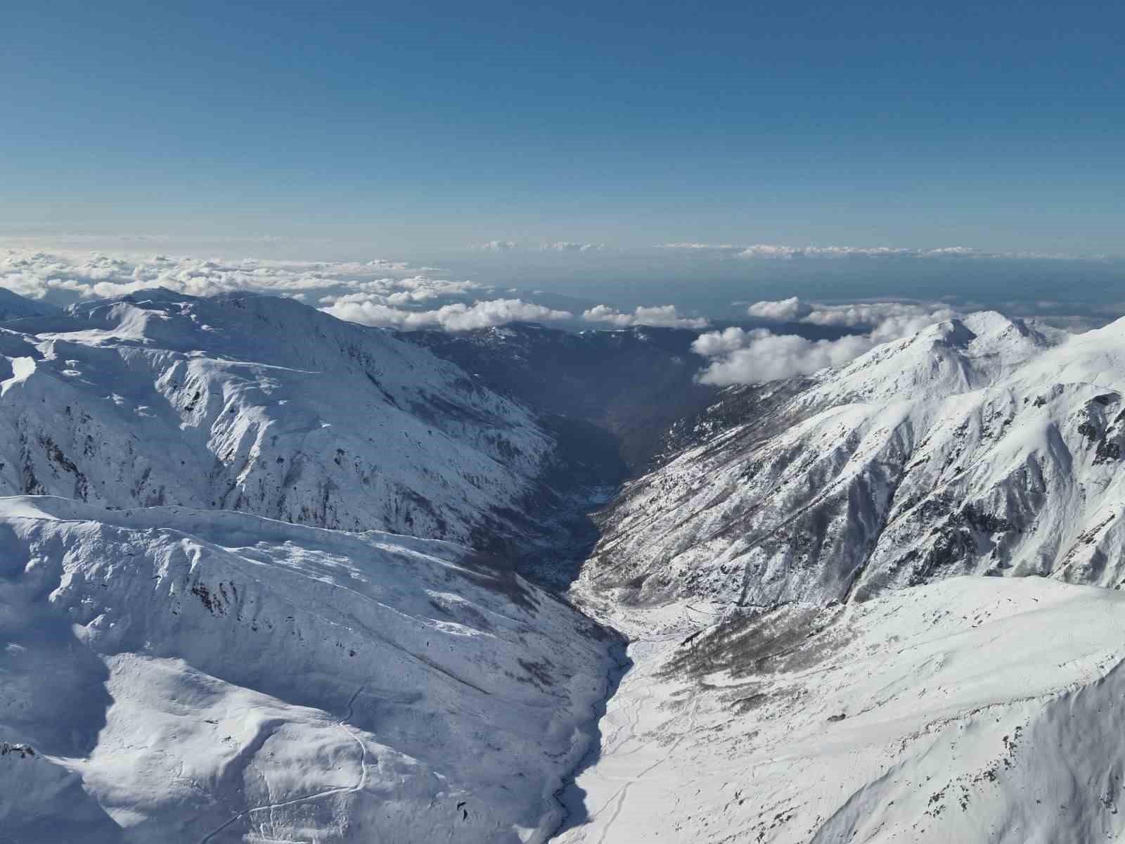 Ayı saldırdığı için ahırdan kaçan sürü 20 gündür Rize’nin karlı dağlarında aranıyor
