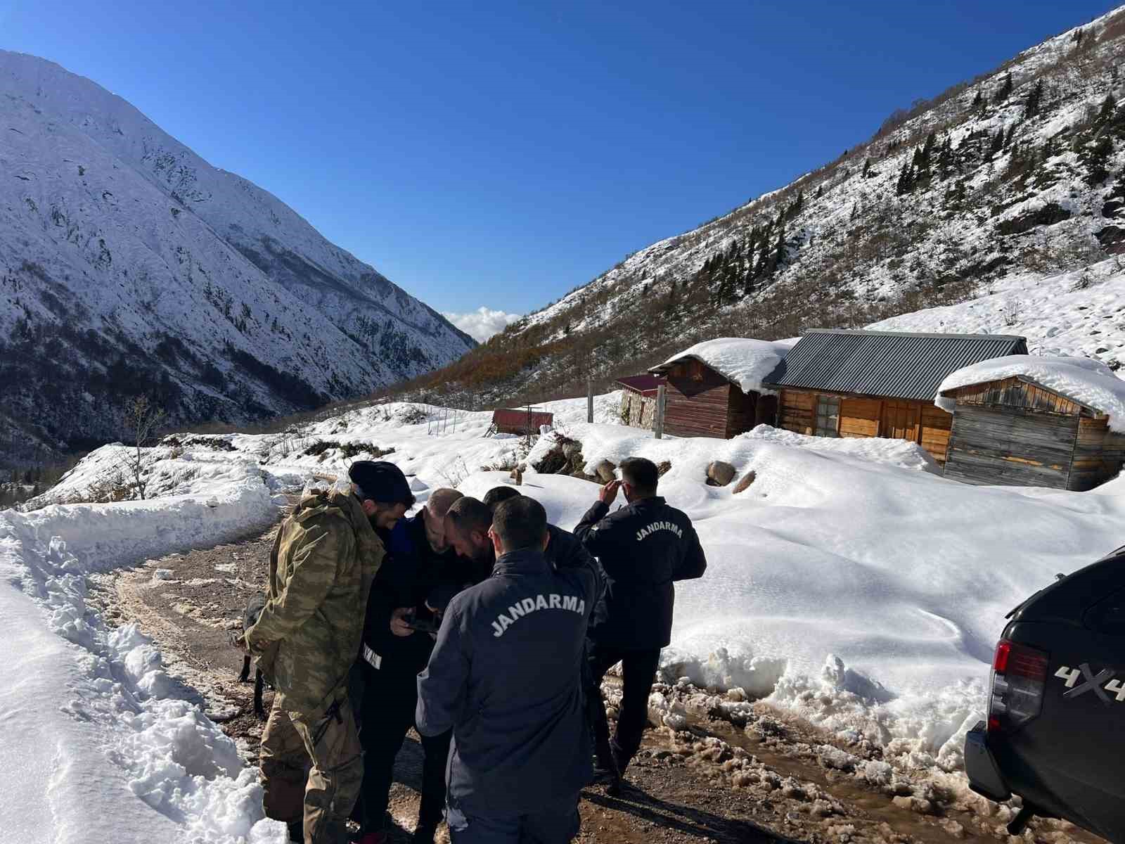 Ayı saldırdığı için ahırdan kaçan sürü 20 gündür Rize’nin karlı dağlarında aranıyor
