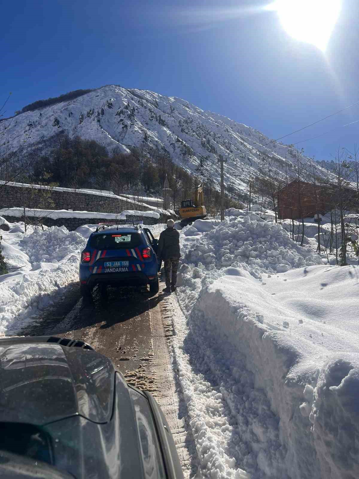 Ayı saldırdığı için ahırdan kaçan sürü 20 gündür Rize’nin karlı dağlarında aranıyor
