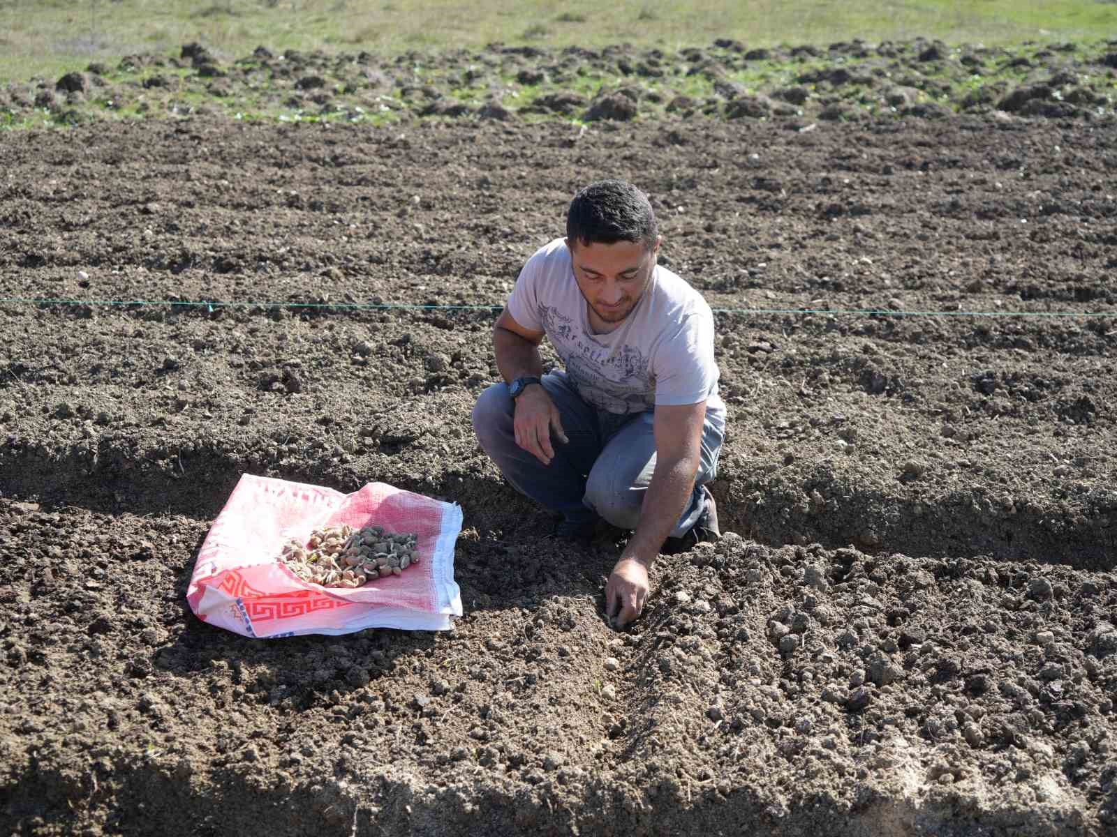 Çocukken annesiyle yaylalarda topluyordu, şimdi üreticisi oldu
