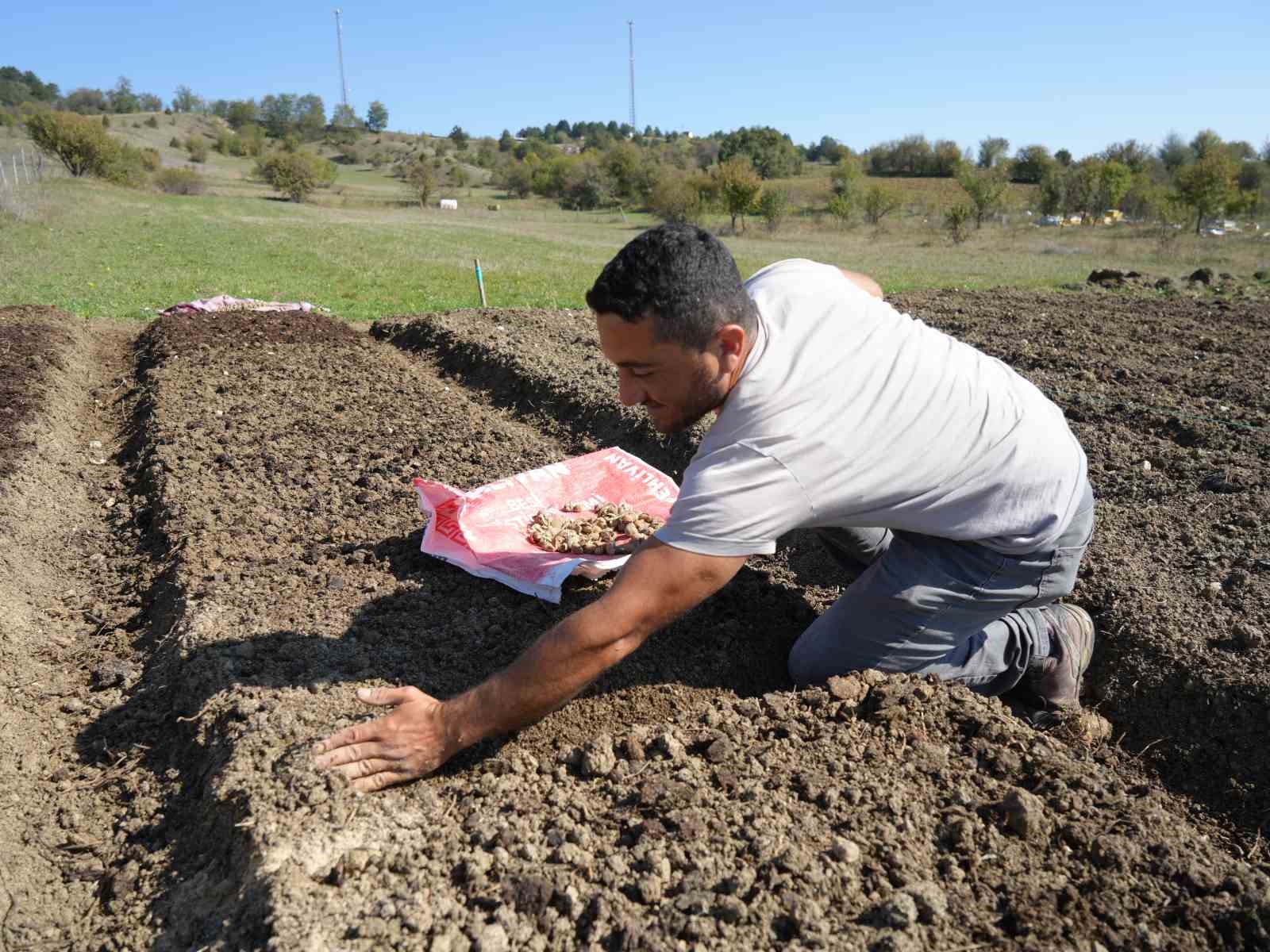 Çocukken annesiyle yaylalarda topluyordu, şimdi üreticisi oldu
