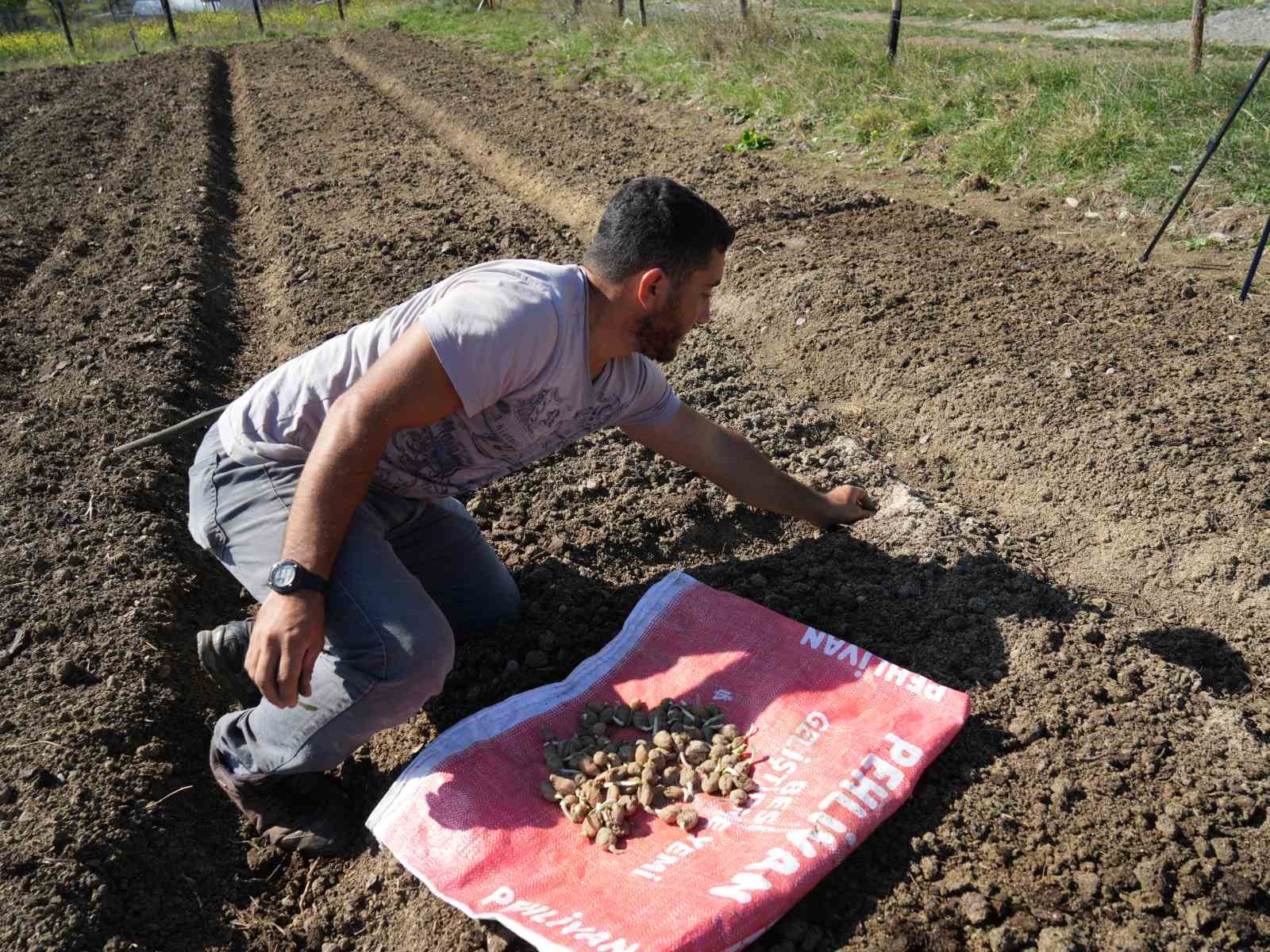 Çocukken annesiyle yaylalarda topluyordu, şimdi üreticisi oldu
